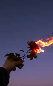 Preview wallpaper rose, flower, flame, hand, fire