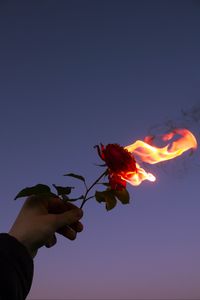 Preview wallpaper rose, flower, flame, hand, fire