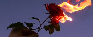 Preview wallpaper rose, flower, flame, hand, fire