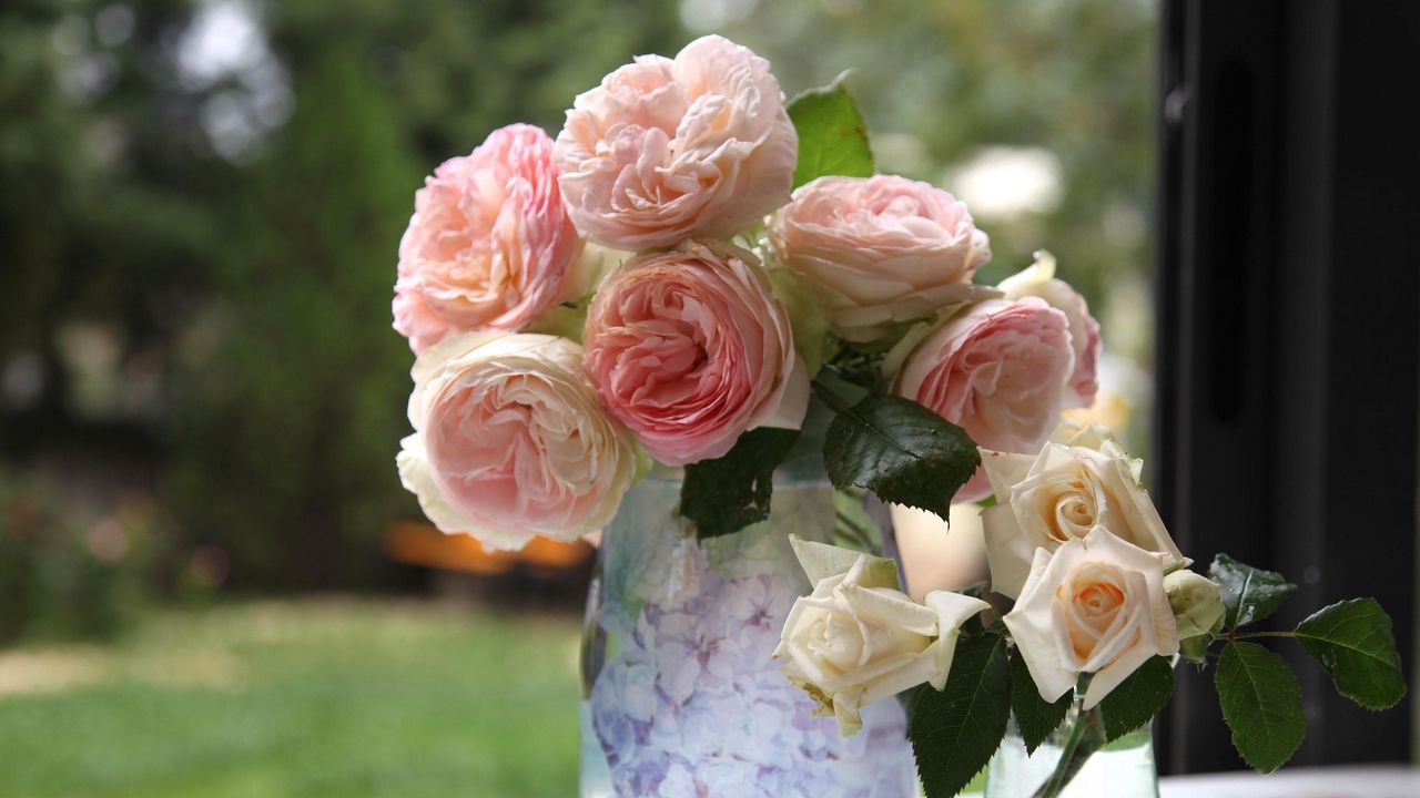 Wallpaper rose, flower, garden, bouquet, vase