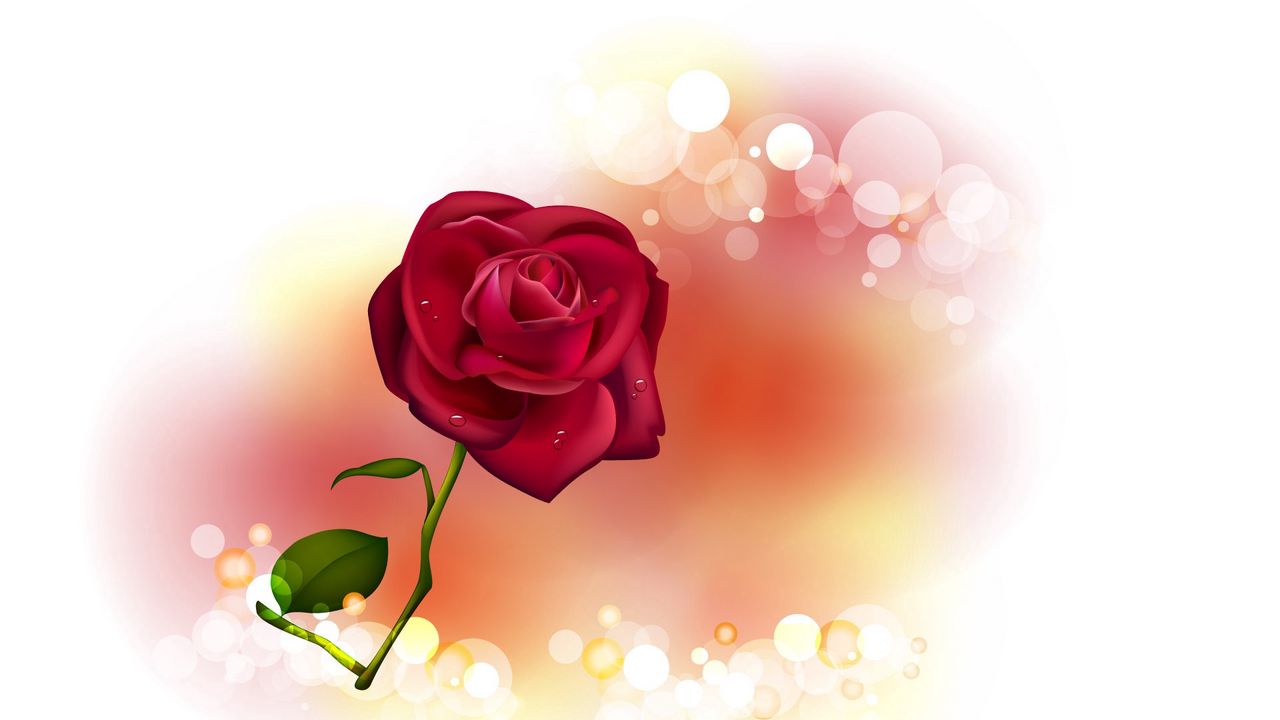 Wallpaper rose, flower, glare, light