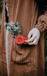 Preview wallpaper rose, flower, hand, touch