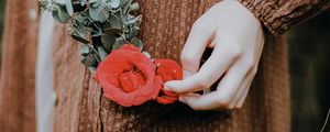 Preview wallpaper rose, flower, hand, touch