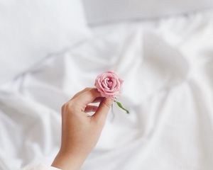 Preview wallpaper rose, flower, hand, white, pink