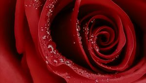 Preview wallpaper rose, flower, macro, drops