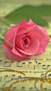 Preview wallpaper rose, flower, music, thread, gold