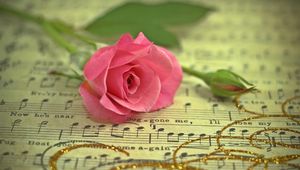 Preview wallpaper rose, flower, music, thread, gold