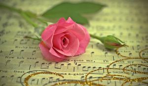 Preview wallpaper rose, flower, music, thread, gold