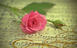 Preview wallpaper rose, flower, music, thread, gold