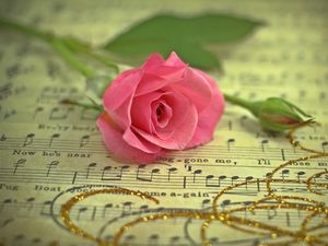 Preview wallpaper rose, flower, music, thread, gold