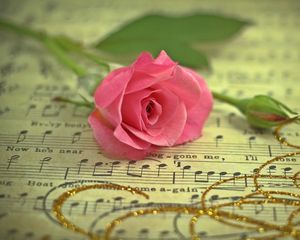 Preview wallpaper rose, flower, music, thread, gold