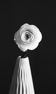 Preview wallpaper rose, flower, petals, vase, black and white, bw