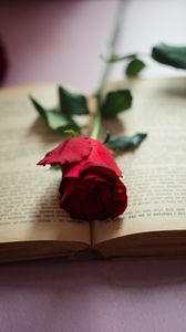 Preview wallpaper rose, flower, petals, book, pages