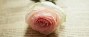 Preview wallpaper rose, flower, petals, book, pages, aesthetics