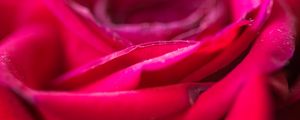 Preview wallpaper rose, flower, petals, blur, red, macro