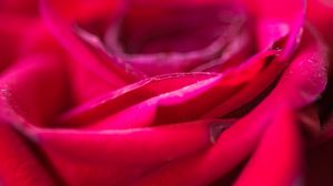 Preview wallpaper rose, flower, petals, blur, red, macro