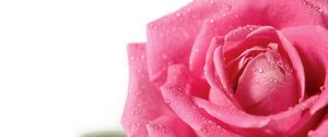 Preview wallpaper rose, flower, petals, drops, bud, pink