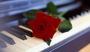 Preview wallpaper rose, flower, piano, music