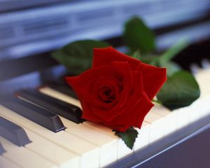 Preview wallpaper rose, flower, piano, music