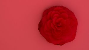 Preview wallpaper rose, flower, pink