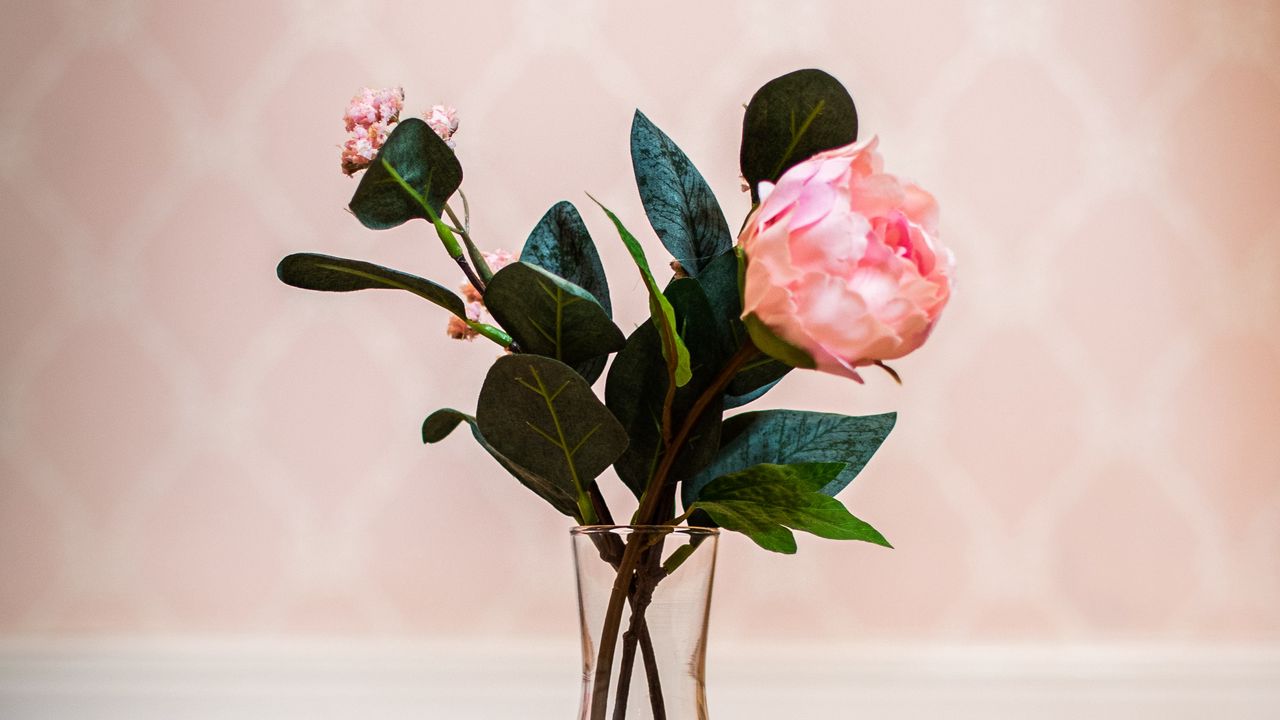 Wallpaper rose, flower, pink, vase, bouquet