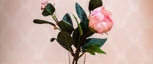 Preview wallpaper rose, flower, pink, vase, bouquet