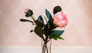 Preview wallpaper rose, flower, pink, vase, bouquet