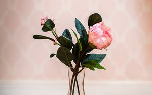 Preview wallpaper rose, flower, pink, vase, bouquet