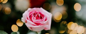 Preview wallpaper rose, flower, pink, blur, bokeh, glare