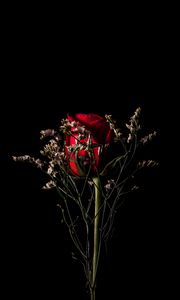 Preview wallpaper rose, flower, red, bouquet, dark