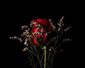 Preview wallpaper rose, flower, red, bouquet, dark