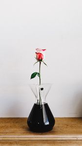 Preview wallpaper rose, flower, vase