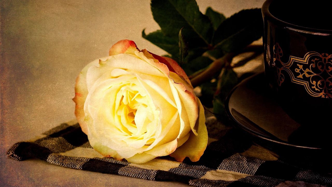 Wallpaper rose, flower, yellow, lie down, napkin, tea pair