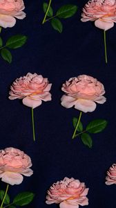 Preview wallpaper rose, flowers, bloom, fabric