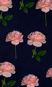 Preview wallpaper rose, flowers, bloom, fabric