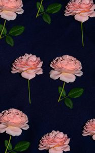 Preview wallpaper rose, flowers, bloom, fabric