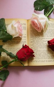 Preview wallpaper rose, flowers, book, pages, aesthetics