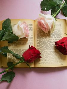 Preview wallpaper rose, flowers, book, pages, aesthetics