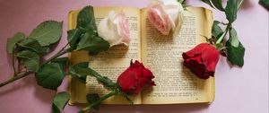 Preview wallpaper rose, flowers, book, pages, aesthetics