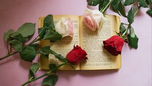 Preview wallpaper rose, flowers, book, pages, aesthetics