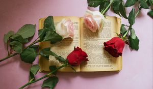 Preview wallpaper rose, flowers, book, pages, aesthetics