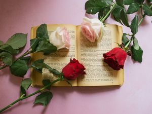 Preview wallpaper rose, flowers, book, pages, aesthetics
