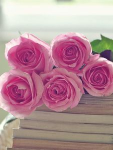 Preview wallpaper rose, flowers, bouquet, books