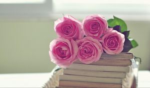 Preview wallpaper rose, flowers, bouquet, books