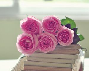 Preview wallpaper rose, flowers, bouquet, books