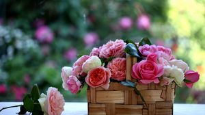 Preview wallpaper rose, flowers, buds, basket, blurring