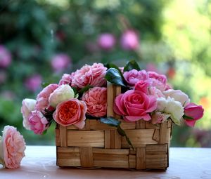 Preview wallpaper rose, flowers, buds, basket, blurring