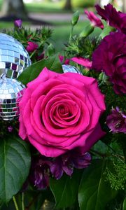 Preview wallpaper rose, flowers, leaves, disco ball, grass