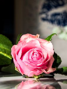 Preview wallpaper rose, flowers, petals, macro, pink