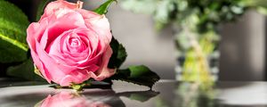 Preview wallpaper rose, flowers, petals, macro, pink
